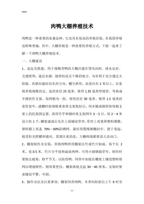 肉鸭大棚养殖技术