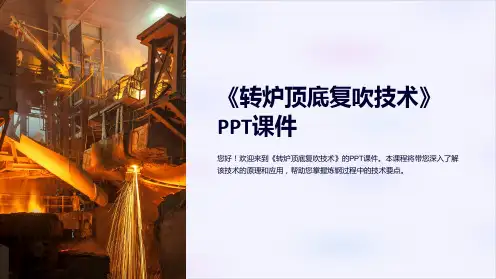 《转炉顶底复吹技术》课件