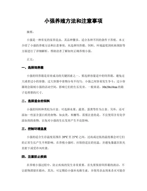 小强养殖方法和注意事项