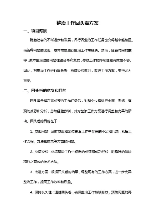整治工作回头看方案