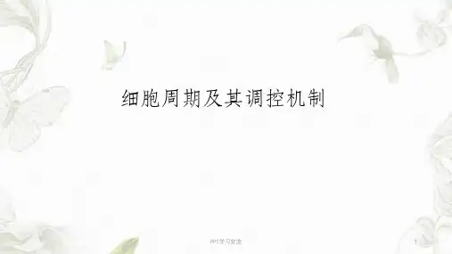 细胞周期及其调控机制课件