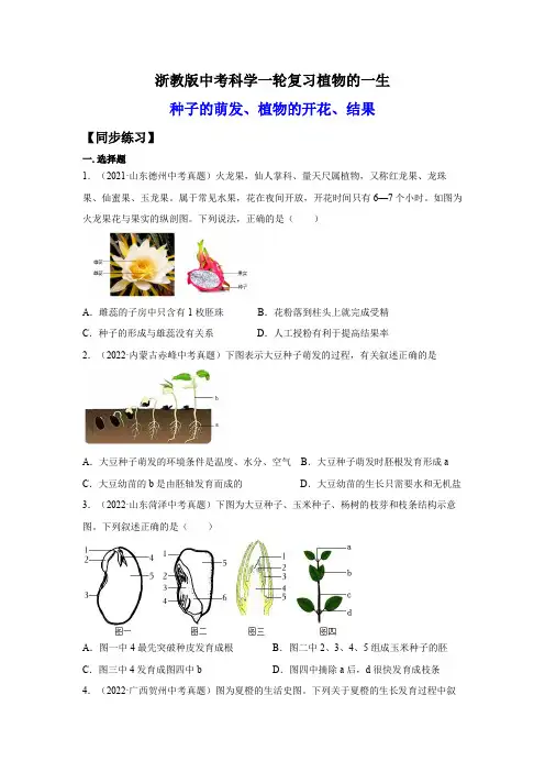 7.植物的一生(练习)(原卷版)