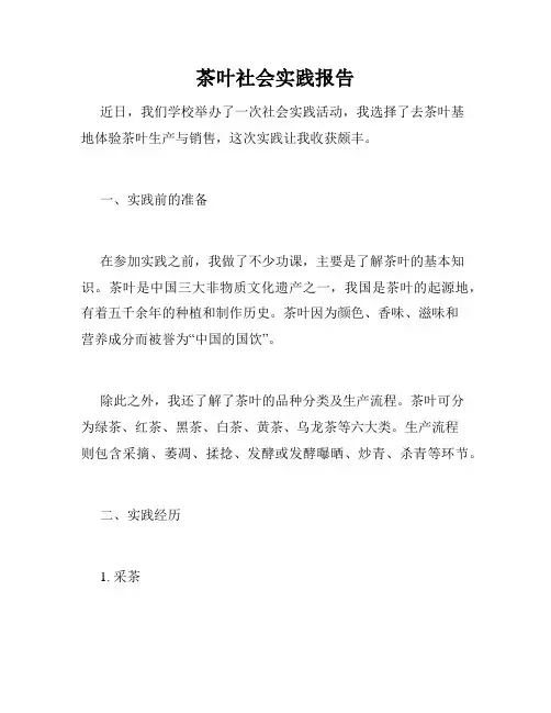 茶叶社会实践报告