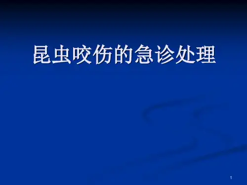 昆虫咬伤处理ppt课件