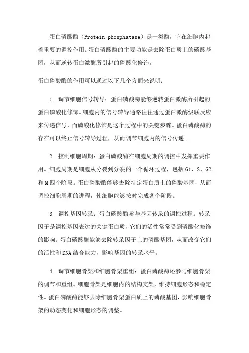 蛋白磷酸酶的作用
