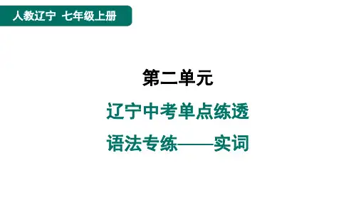 七年级语文上册辽宁中考单点练透语法专练——实词点训人教辽宁课件