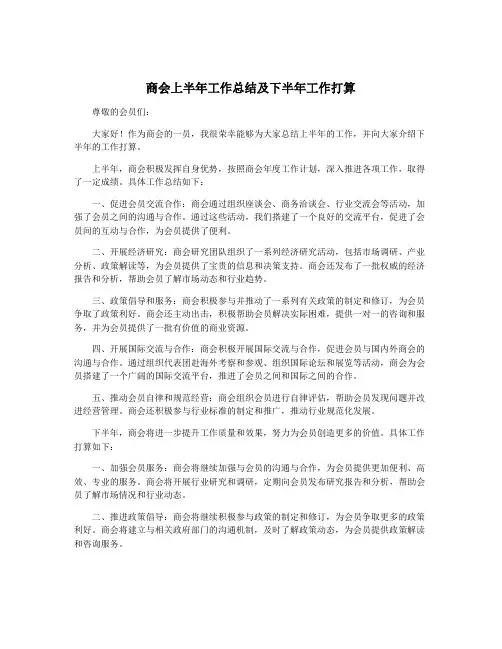 商会上半年工作总结及下半年工作打算