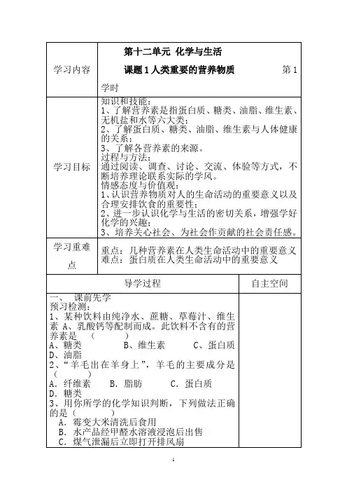 人教版九年级化学下册第十二单元导学案