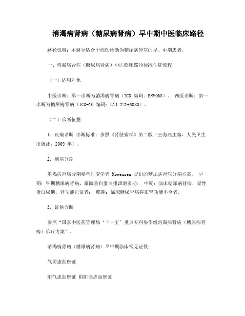 消渴病肾病(糖尿病肾病)早中期中医临床路径