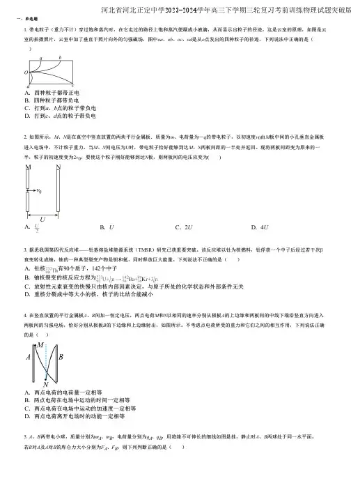 河北省河北正定中学2023-2024学年高三下学期三轮复习考前训练物理试题突破版