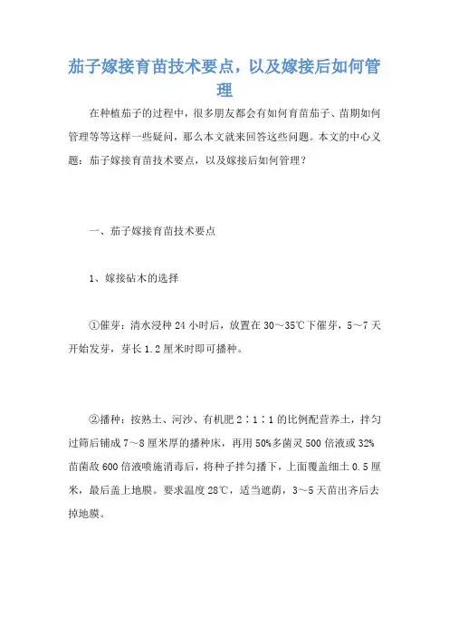 茄子嫁接育苗技术要点,以及嫁接后如何管理