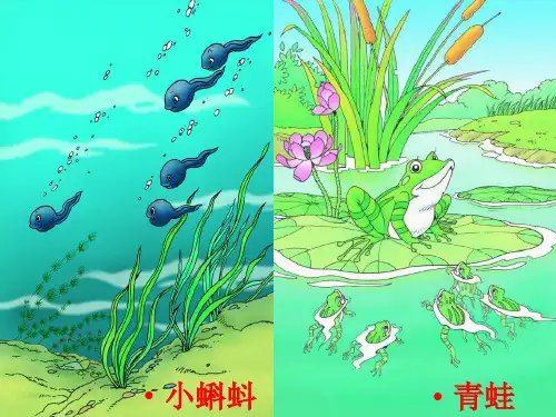 《小蝌蚪找妈妈》ppt完美课件人教部编版语文2