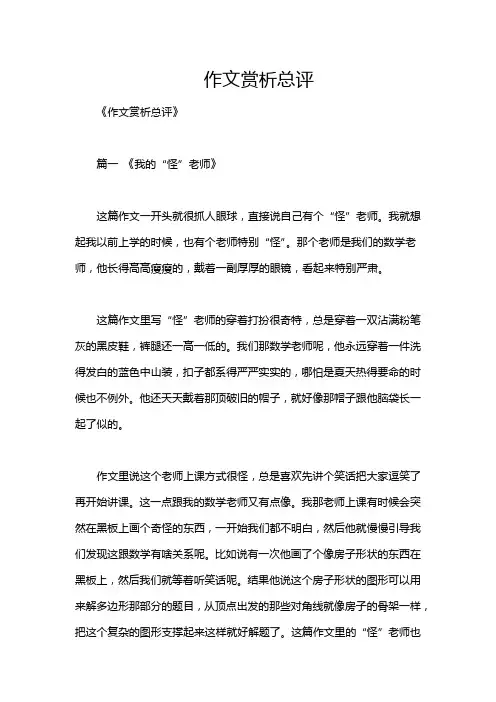 作文赏析总评