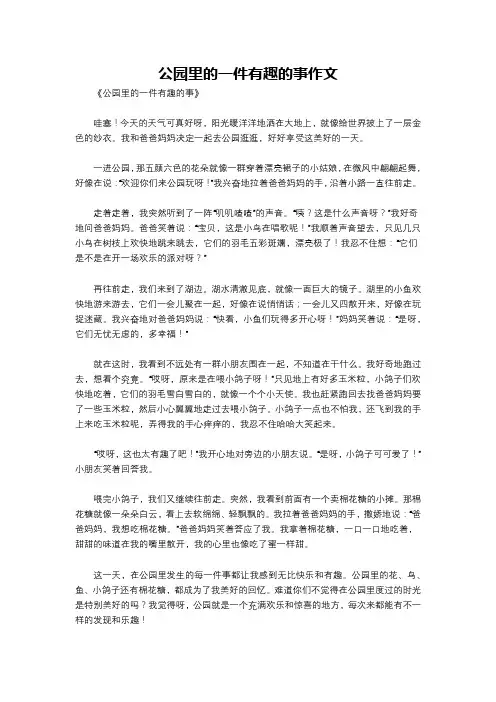公园里的一件有趣的事作文