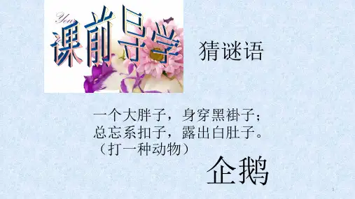 粤人版七年级地理下第十一章极地地区教学课件 (共36张PPT)