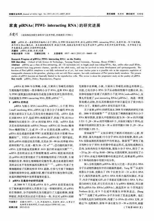 家禽piRNAs(PIWI-interacting RNA)的研究进展