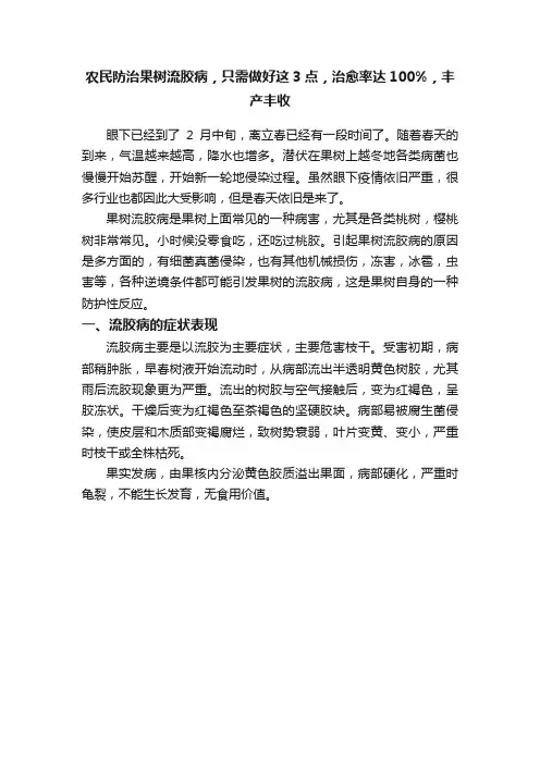 农民防治果树流胶病，只需做好这3点，治愈率达100%，丰产丰收