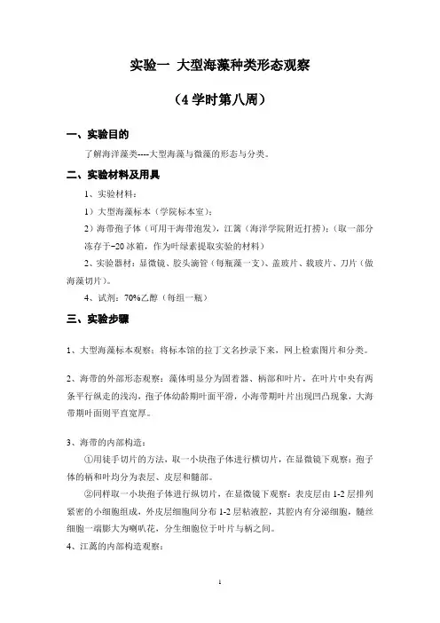 藻类生物学实验11海科