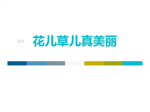 一年级道德与法治下册 (花儿草儿真美丽) 教学课件