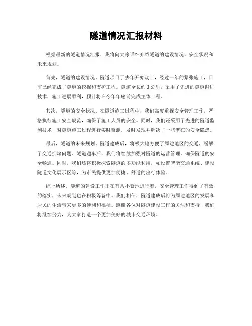 隧道情况汇报材料