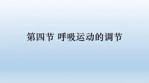 呼吸运动的调节PPT课件