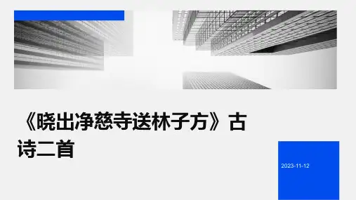 《晓出净慈寺送林子方》古诗二首