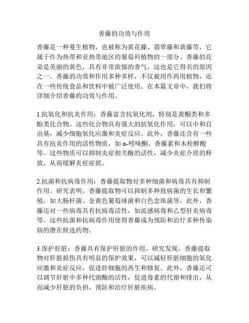 香藤的功效与作用