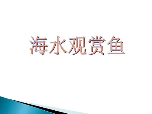 海水观赏鱼