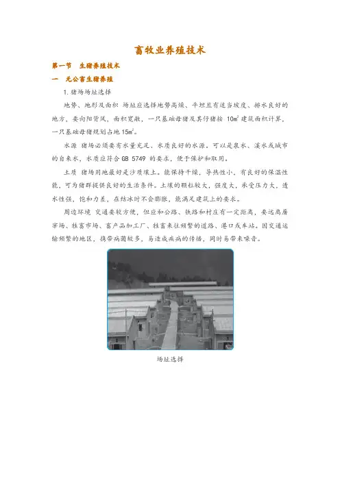 畜牧业养殖技术