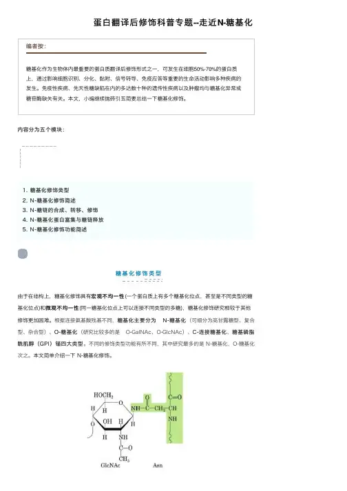 蛋白翻译后修饰科普专题--走近N-糖基化