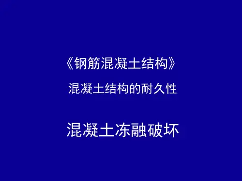 混凝土结构耐久性-混凝土冻融破坏