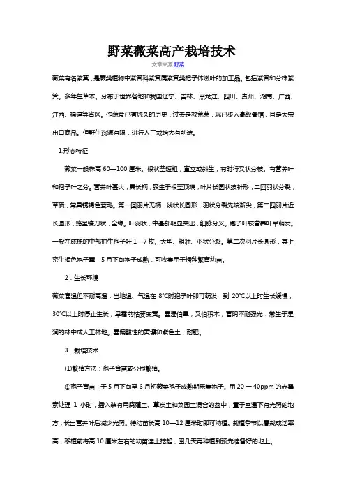 野菜薇菜高产栽培技术