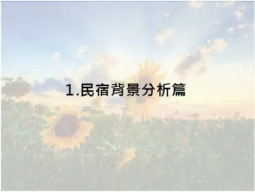 民宿专题研究案例(41页)