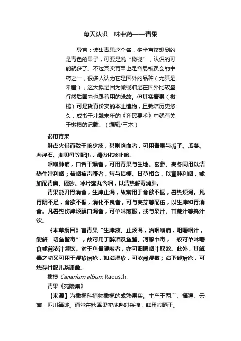 每天认识一味中药——青果