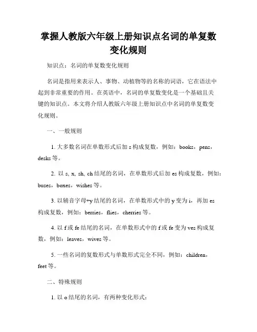 掌握人教版六年级上册知识点名词的单复数变化规则