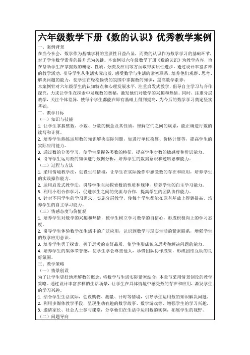 六年级数学下册《数的认识》优秀教学案例
