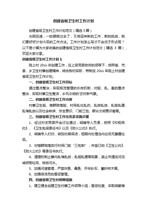 创建省级卫生村工作计划范文（精选3篇）