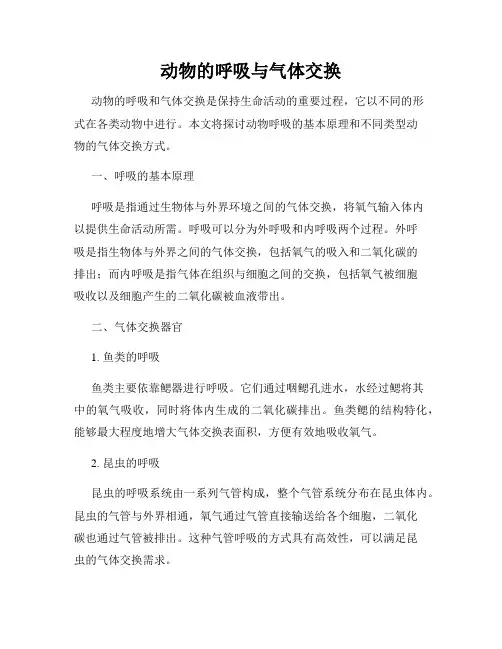 动物的呼吸与气体交换