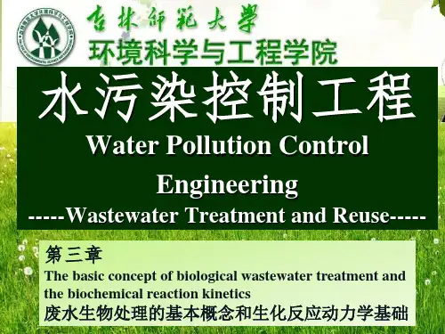 3.5 生化反应动力学基础