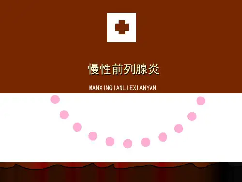 男科慢性前列腺演示文稿