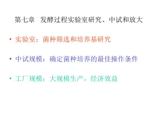 第七章发酵过程放大