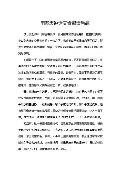 用图表说话麦肯锡读后感