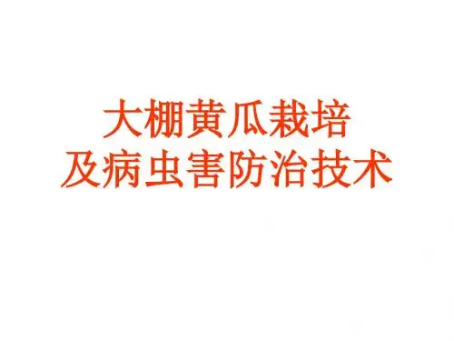 大棚黄瓜栽培及病虫害防治技术