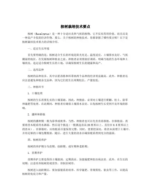桉树栽培技术要点
