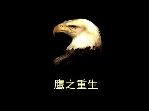 鹰之重生
