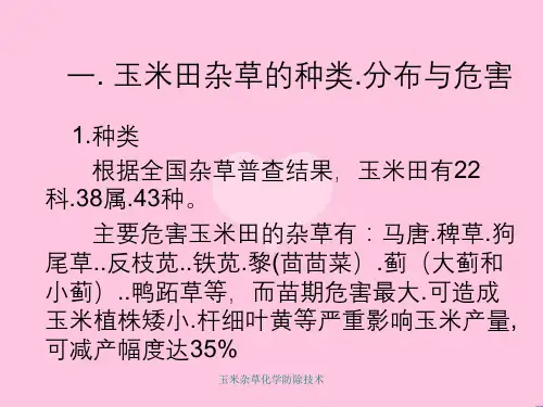 玉米杂草化学防除技术