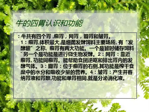 牛的消化系统PPT课件