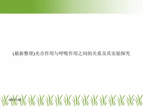 (最新整理)光合作用与呼吸作用之间的关系及其实验探究