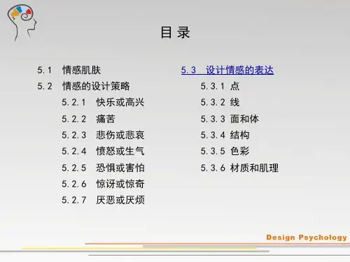 设计心理学5情感设计ppt课件