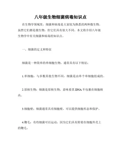 八年级生物细菌病毒知识点